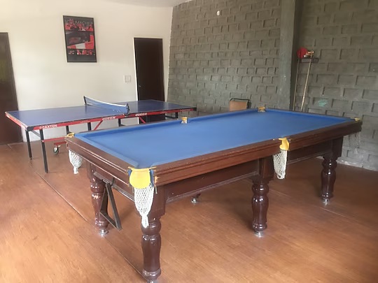 Pool table in the recreation room
