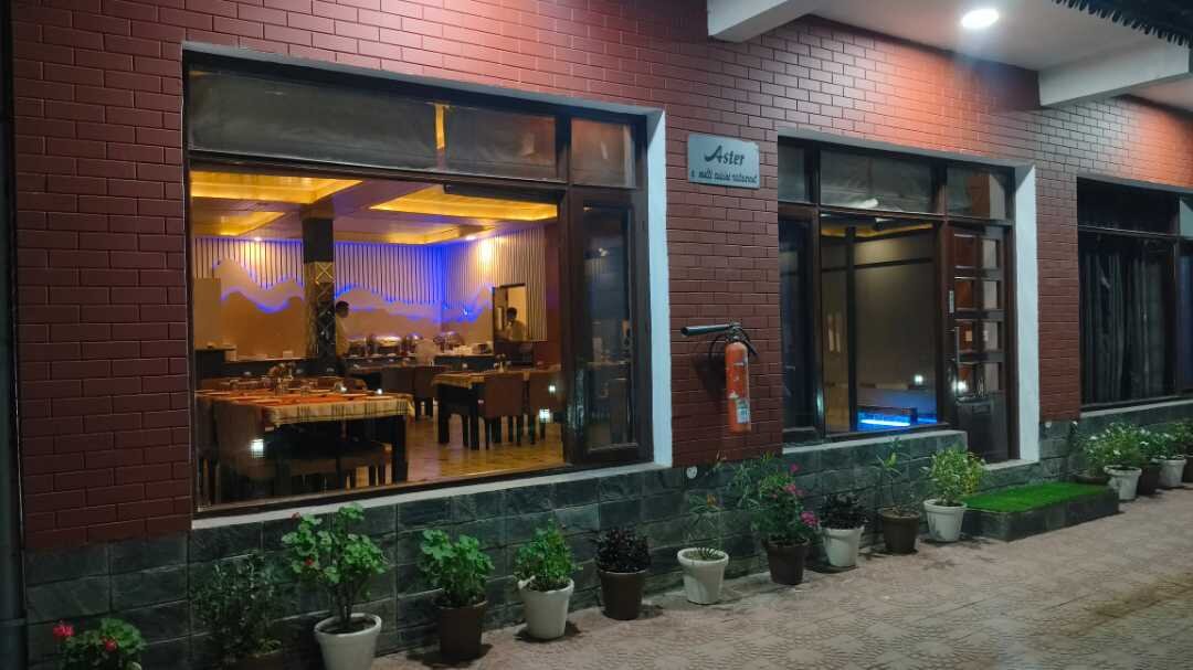 Restaurant entrance with lights on and potted plants outside