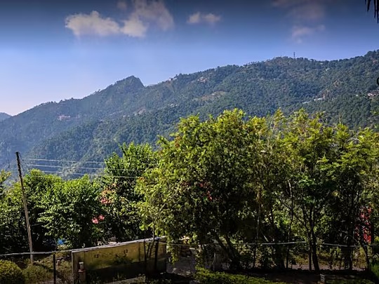 Forested hills seen from the resort grounds