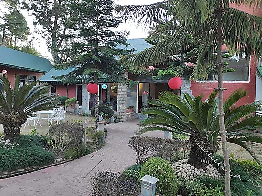 Palm-lined garden path beside the cottages