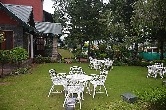 Garden chairs set on the green lawn