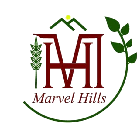 Marvel Hills logo
