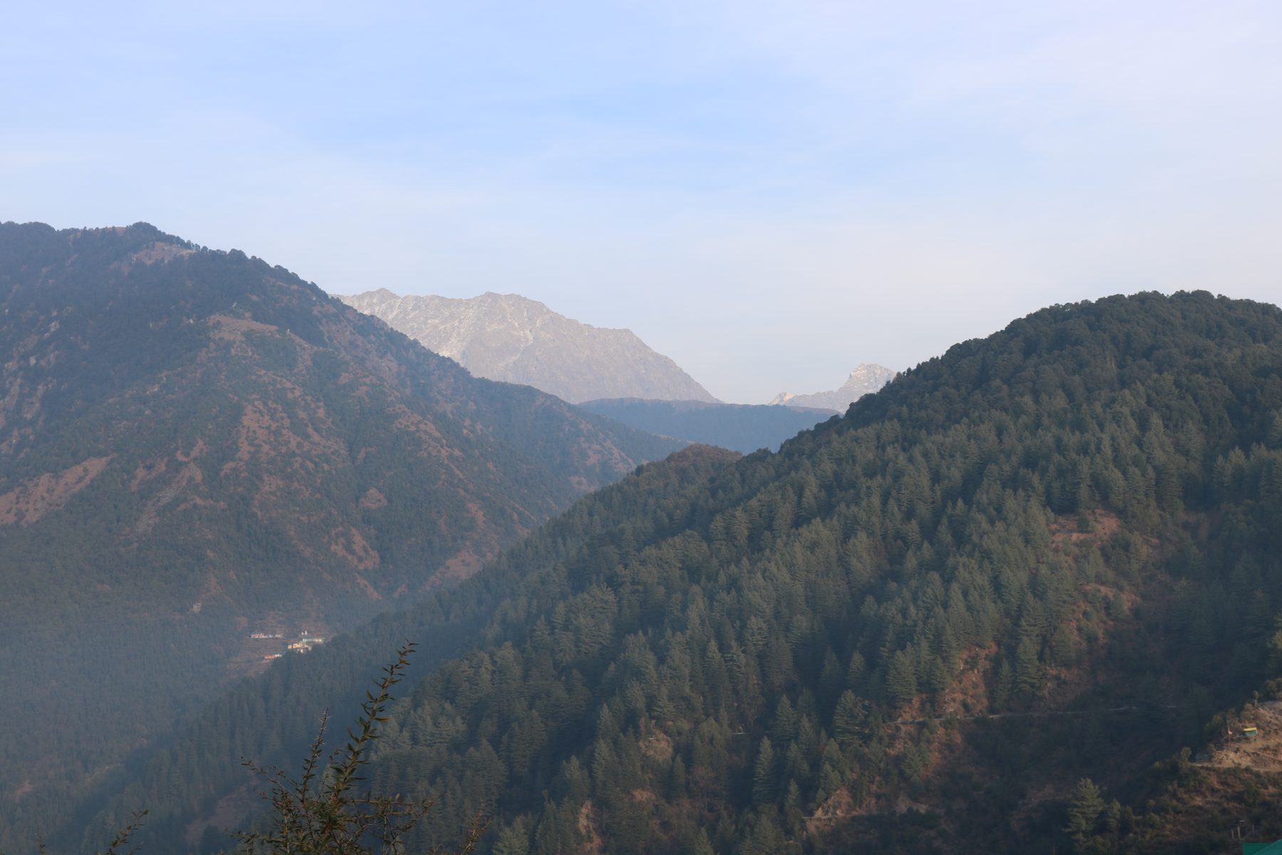 Forested ridges and distant peaks around Kasauli