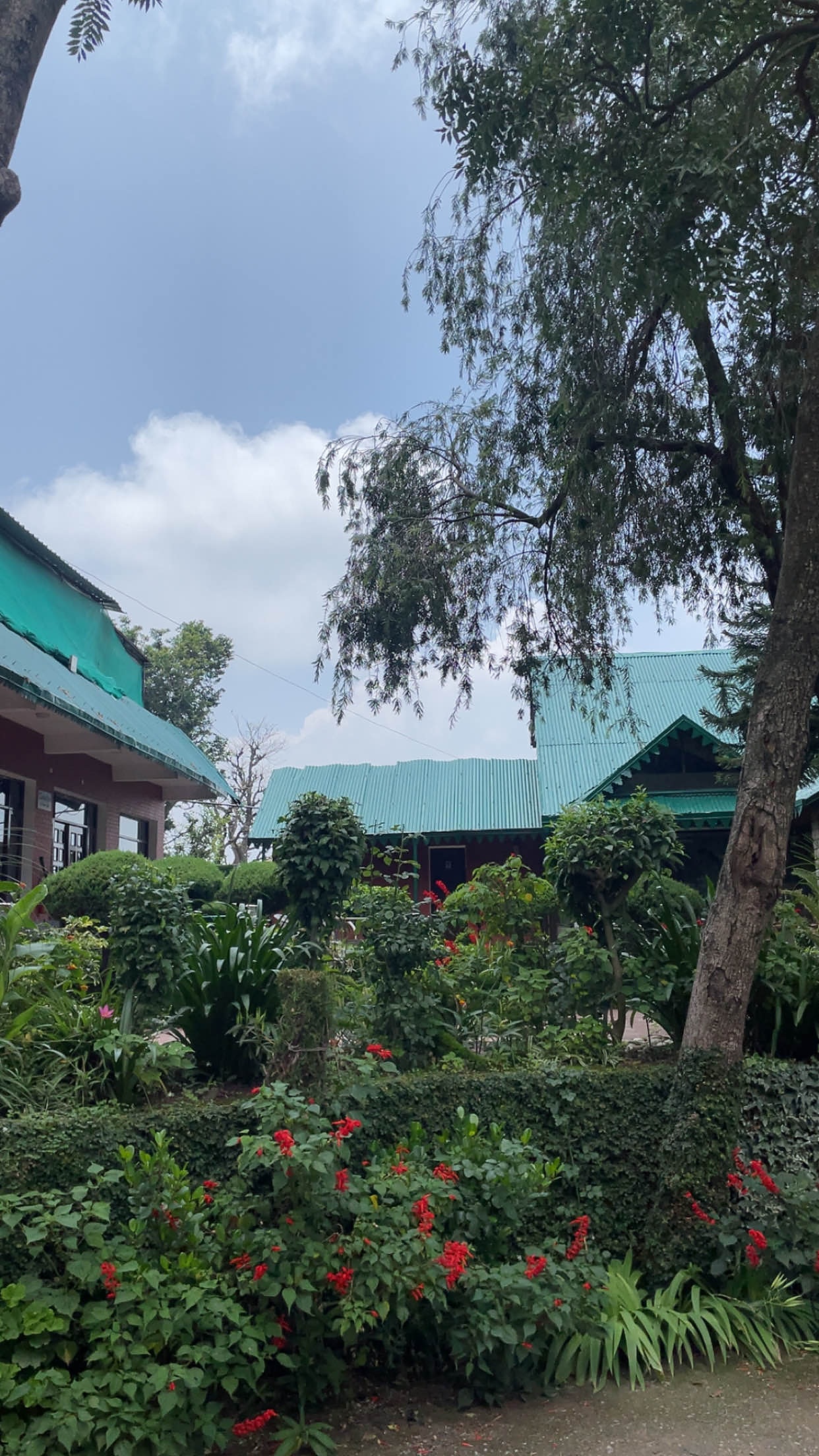 Flowering plants in the resort garden